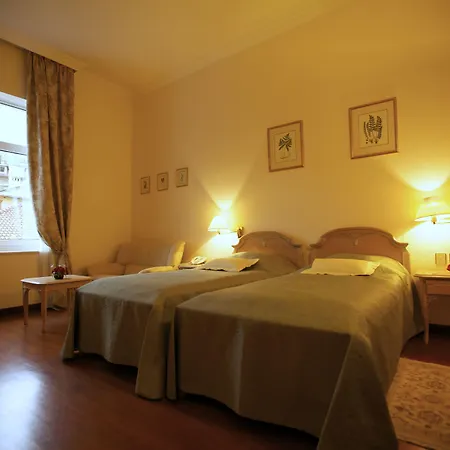 Mozart オパティヤ